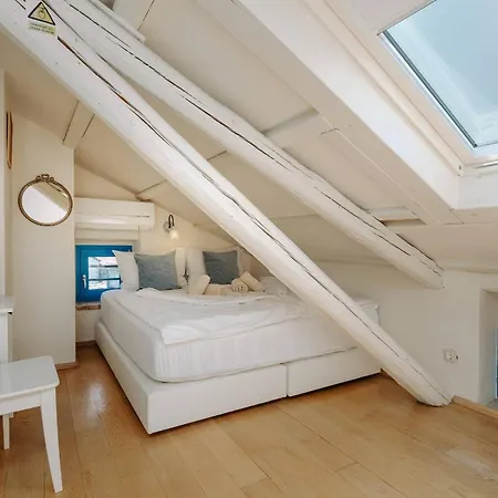 Villa Istrian Garden